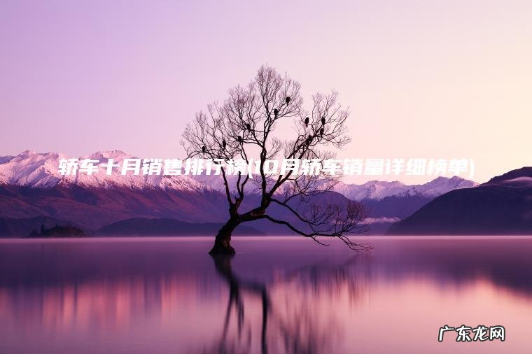 轿车十月销售排行榜(10月轿车销量详细榜单)