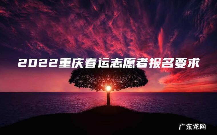 2022重庆春运志愿者报名要求