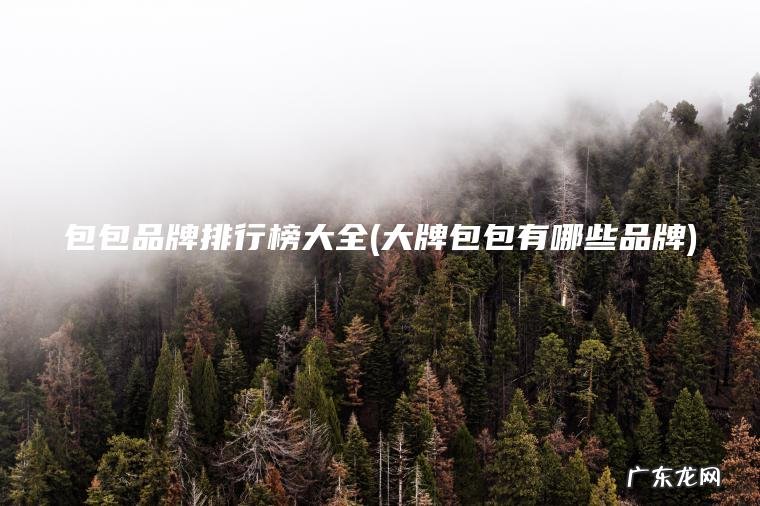 包包品牌排行榜大全(大牌包包有哪些品牌) 大牌包包有哪些品牌 包包品牌排行榜大全