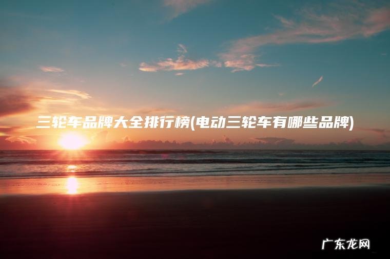 三轮车品牌大全排行榜(电动三轮车有哪些品牌) 电动三轮车有哪些品牌 三轮车品牌大全排行榜