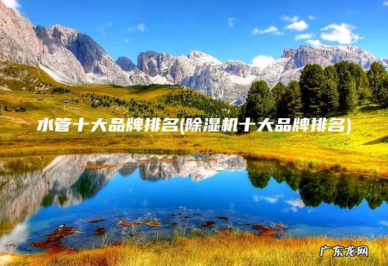 水管十大品牌排名(除湿机十大品牌排名) 除湿机十大品牌排名 水管十大品牌排名
