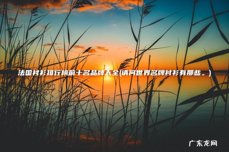 法国衬衫排行榜前十名品牌大全(请问世界名牌衬衫有那些 。 ) 请问世界名牌衬衫有那些。 法国衬衫排行榜前十名品牌大全