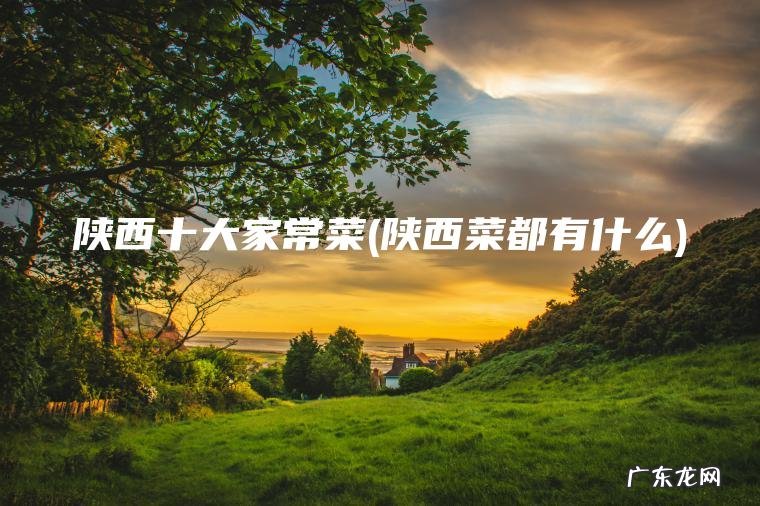 陕西十大家常菜(陕西菜都有什么) 陕西菜都有什么 陕西十大家常菜