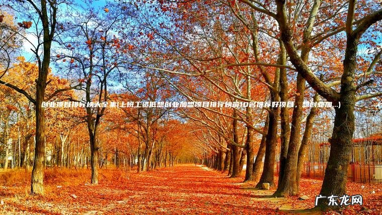 创业项目排行榜大全集(上班工资低想创业加盟项目排行榜前10名推荐好项目， 想创业加…)