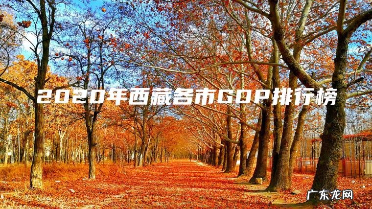 2020年西藏各市GDP排行榜 2020年西藏各市GDP排行榜