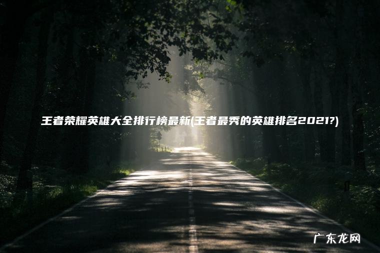 王者荣耀英雄大全排行榜最新(王者最秀的英雄排名2021?) 王者最秀的英雄排名2021? 王者荣耀英雄大全排行榜最新