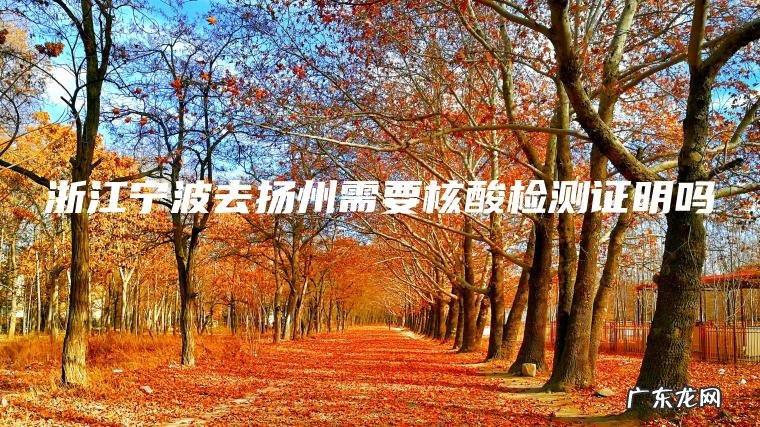 浙江宁波去扬州需要核酸检测证明吗 浙江宁波去扬州需要核酸检测证明吗