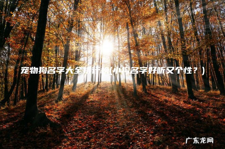 宠物狗名字大全排行榜(小狗名字好听又个性?) 小狗名字好听又个性? 宠物狗名字大全排行榜