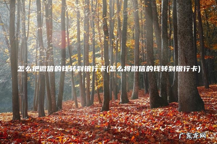 怎么把微信的钱转到银行卡(怎么将微信的钱转到银行卡) 怎么将微信的钱转到银行卡 怎么把微信的钱转到银行卡