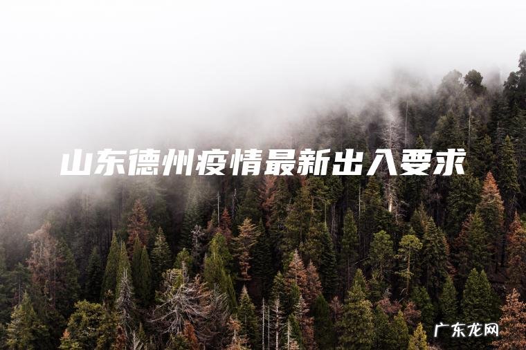 山东德州疫情最新出入要求