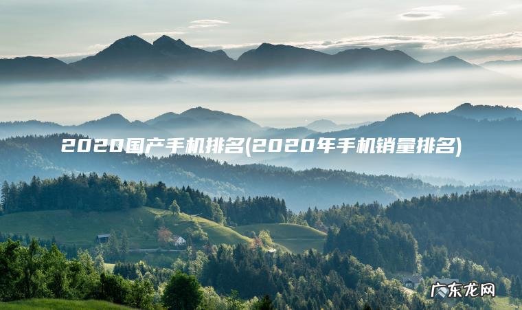 2020国产手机排名(2020年手机销量排名) 2020年手机销量排名 2020国产手机排名