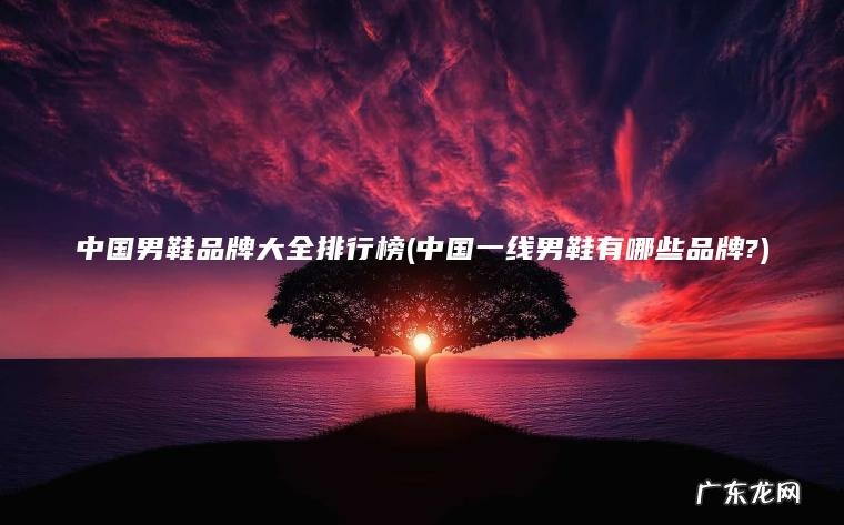 中国男鞋品牌大全排行榜(中国一线男鞋有哪些品牌?) 中国一线男鞋有哪些品牌? 中国男鞋品牌大全排行榜