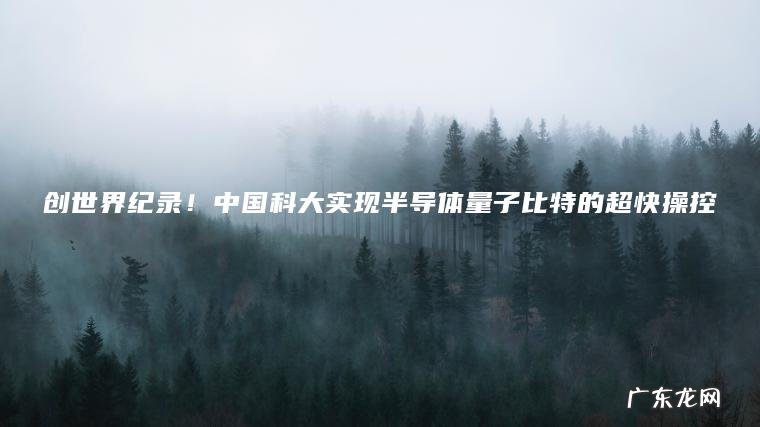 创世界纪录!中国科大实现半导体量子比特的超快操控 创世界纪录!中国科大实现半导体量子比特的超快操控