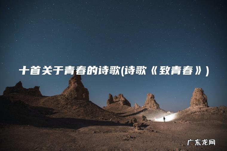 诗歌《致青春》 十首关于青春的诗歌