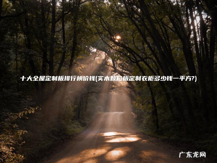 十大全屋定制板排行榜价钱(实木颗粒板定制衣柜多少钱一平方?)