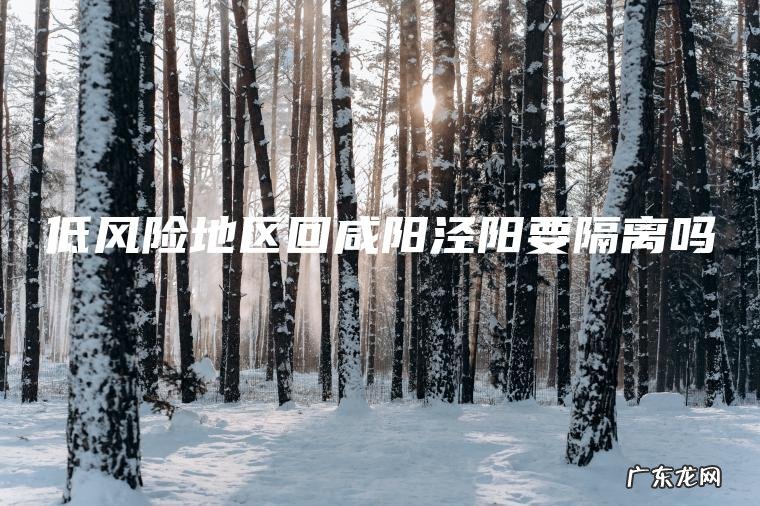 低风险地区回咸阳泾阳要隔离吗 低风险地区回咸阳泾阳要隔离吗