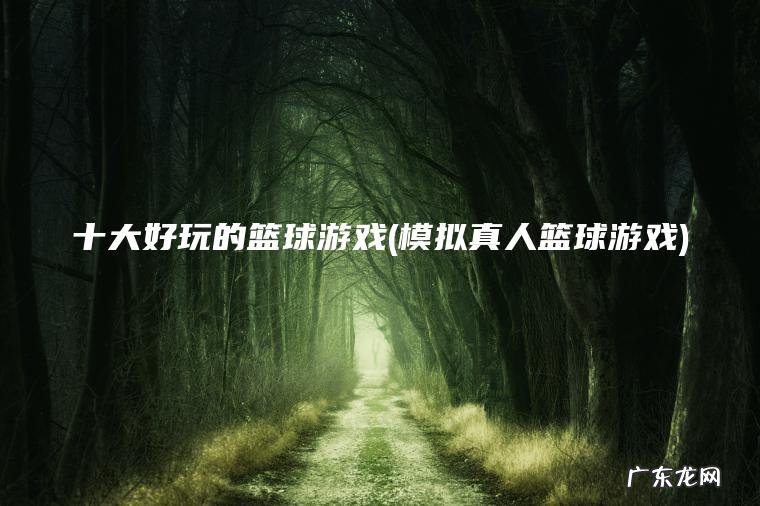 十大好玩的篮球游戏(模拟真人篮球游戏) 模拟真人篮球游戏 十大好玩的篮球游戏