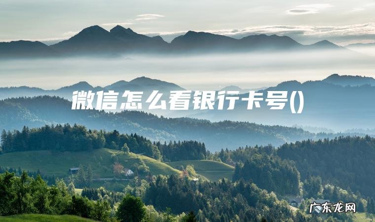微信怎么看银行卡号() 微信怎么看银行卡号