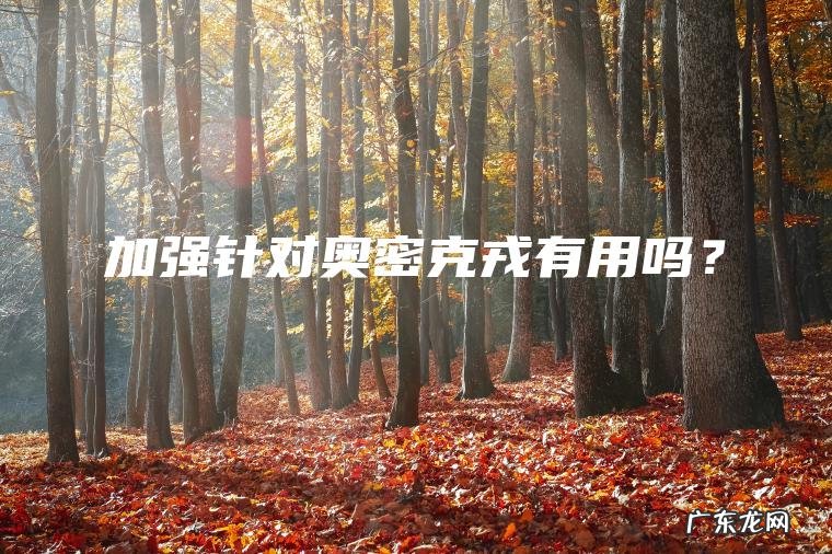 加强针对奥密克戎有用吗? 加强针对奥密克戎有用吗?