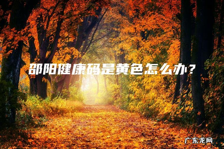 邵阳健康码是黄色怎么办？