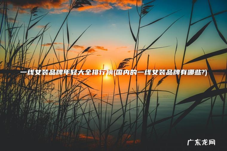 一线女装品牌年轻大全排行榜(国内的一线女装品牌有哪些?) 国内的一线女装品牌有哪些? 一线女装品牌年轻大全排行榜