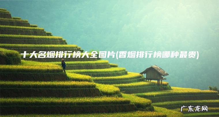 十大名烟排行榜大全图片(香烟排行榜哪种最贵)
