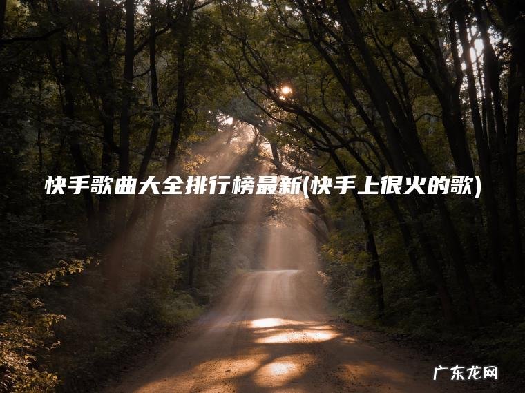 快手上很火的歌 快手歌曲大全排行榜最新