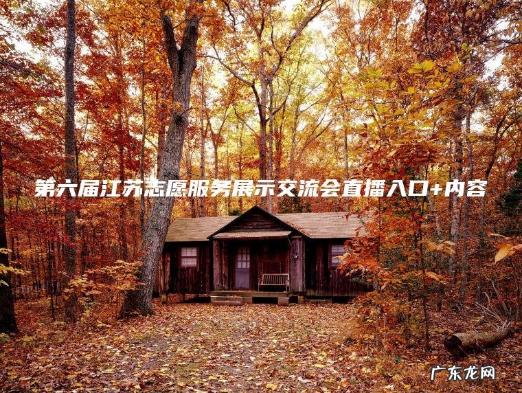第六届江苏志愿服务展示交流会直播入口+内容