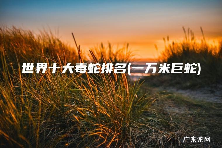 一万米巨蛇 世界十大毒蛇排名