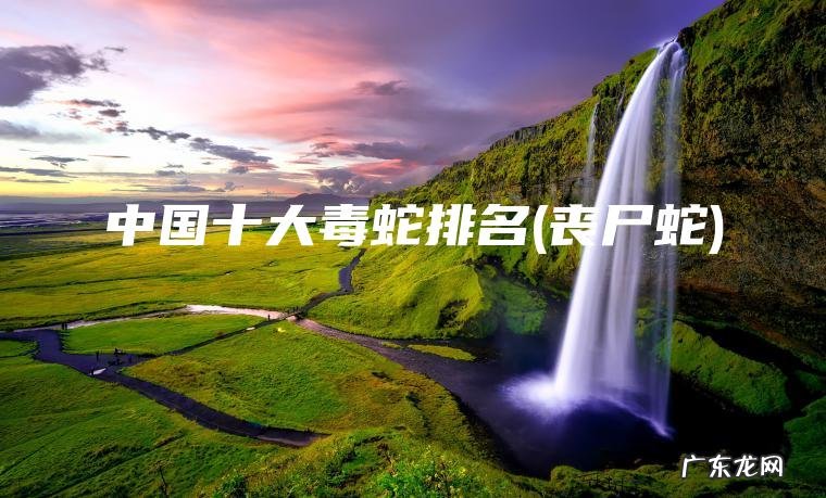 中国十大毒蛇排名(丧尸蛇) 丧尸蛇 中国十大毒蛇排名