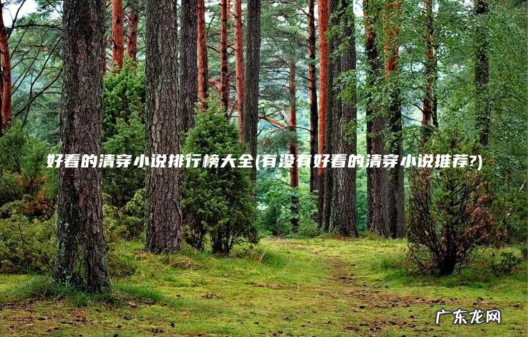 好看的清穿小说排行榜大全(有没有好看的清穿小说推荐?) 有没有好看的清穿小说推荐? 好看的清穿小说排行榜大全