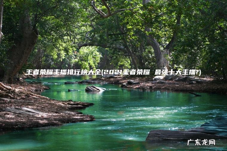 王者荣耀主播排行榜大全(2021王者荣耀 最强十大主播?) 2021王者荣耀 最强十大主播? 王者荣耀主播排行榜大全