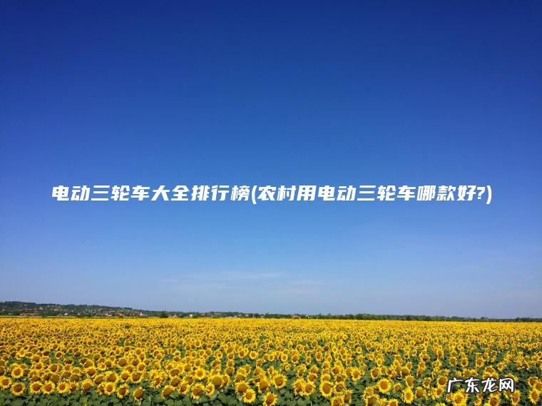 电动三轮车大全排行榜(农村用电动三轮车哪款好?) 农村用电动三轮车哪款好? 电动三轮车大全排行榜
