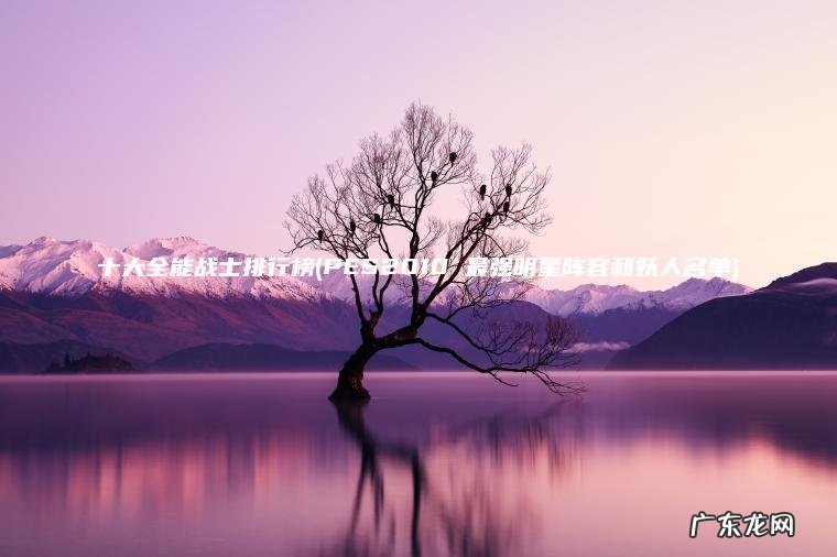 十大全能战士排行榜(PES2010 最强明星阵容和妖人名单) PES2010 最强明星阵容和妖人名单 十大全能战士排行榜