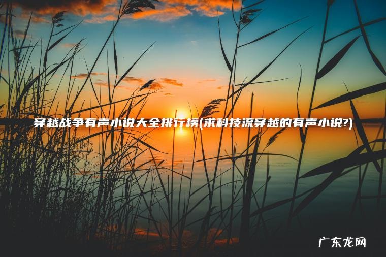 穿越战争有声小说大全排行榜(求科技流穿越的有声小说?) 求科技流穿越的有声小说? 穿越战争有声小说大全排行榜