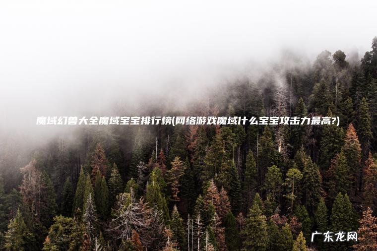 魔域幻兽大全魔域宝宝排行榜(网络游戏魔域什么宝宝攻击力最高?) 网络游戏魔域什么宝宝攻击力最高? 魔域幻兽大全魔域宝宝排行榜