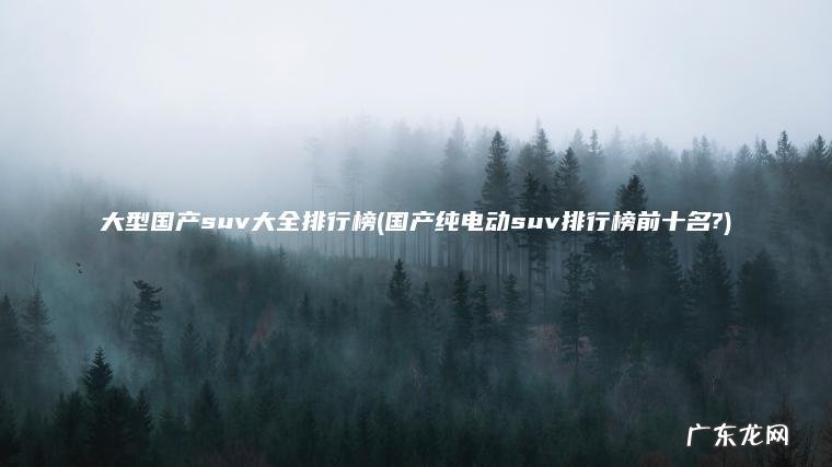 大型国产suv大全排行榜(国产纯电动suv排行榜前十名?) 国产纯电动suv排行榜前十名? 大型国产suv大全排行榜