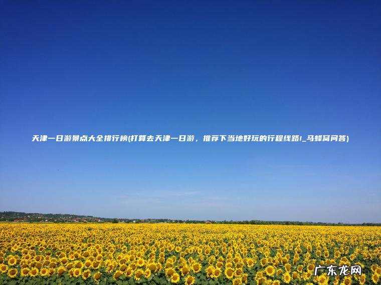 天津一日游景点大全排行榜(打算去天津一日游, 推荐下当地好玩的行程线路!_马蜂窝问答) 打算去天津一日游,推荐下当地好玩的行程线路!_马蜂窝问答 天津一日游景点大全排行榜