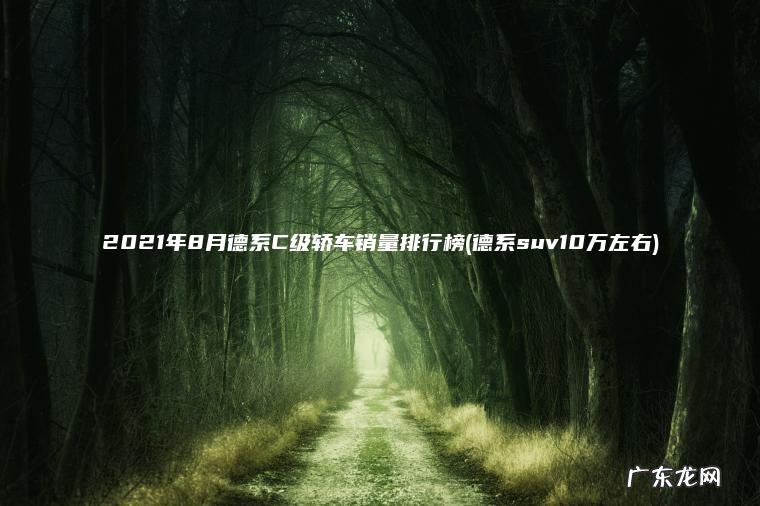 2021年8月德系C级轿车销量排行榜(德系suv10万左右) 德系suv10万左右 2021年8月德系C级轿车销量排行榜