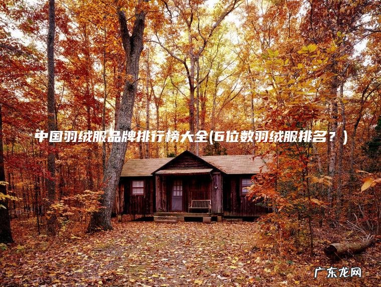 中国羽绒服品牌排行榜大全(6位数羽绒服排名?) 6位数羽绒服排名? 中国羽绒服品牌排行榜大全