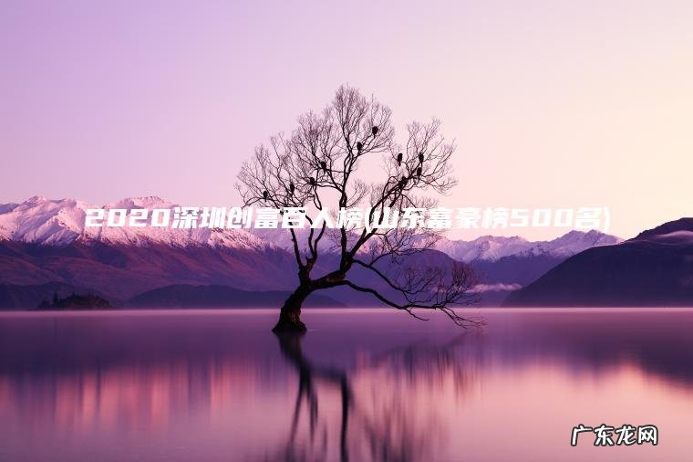 2020深圳创富百人榜(山东富豪榜500名) 山东富豪榜500名 2020深圳创富百人榜