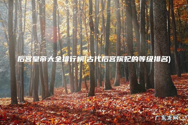 后宫皇帝大全排行榜(古代后宫嫔妃的等级排名) 古代后宫嫔妃的等级排名 后宫皇帝大全排行榜