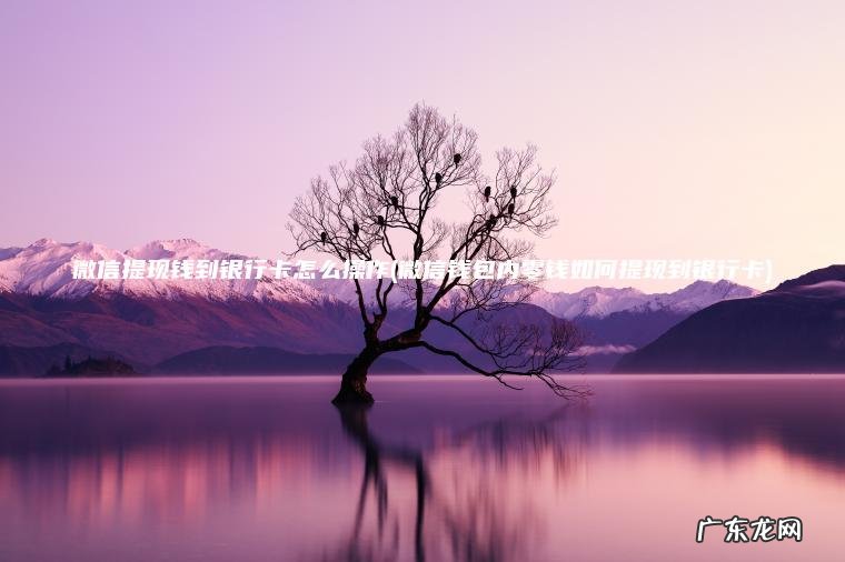 微信提现钱到银行卡怎么操作(微信钱包内零钱如何提现到银行卡) 微信钱包内零钱如何提现到银行卡 微信提现钱到银行卡怎么操作