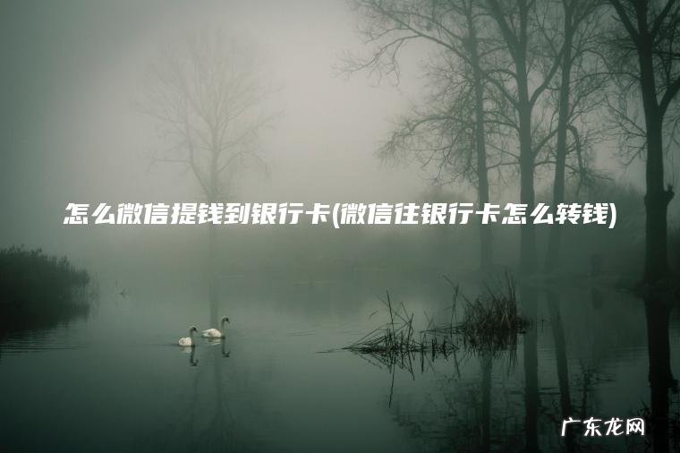怎么微信提钱到银行卡(微信往银行卡怎么转钱) 微信往银行卡怎么转钱 怎么微信提钱到银行卡