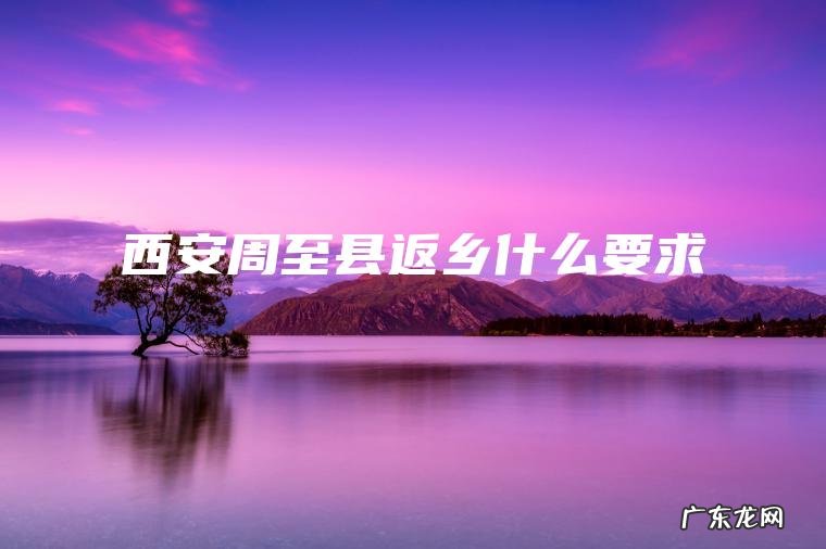 西安周至县返乡什么要求 西安周至县返乡什么要求