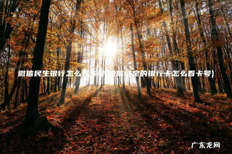 微信民生银行怎么看卡号(微信绑定的银行卡怎么看卡号) 微信绑定的银行卡怎么看卡号 微信民生银行怎么看卡号