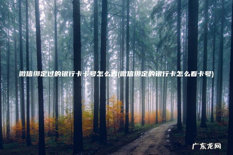 微信绑定过的银行卡卡号怎么看(微信绑定的银行卡怎么看卡号) 微信绑定的银行卡怎么看卡号 微信绑定过的银行卡卡号怎么看