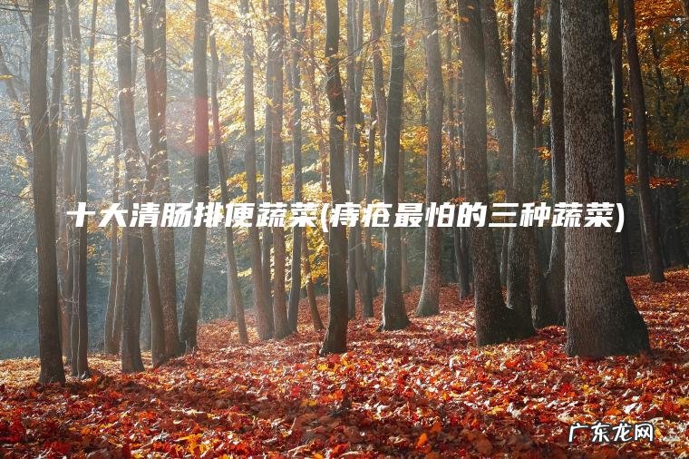 痔疮最怕的三种蔬菜 十大清肠排便蔬菜