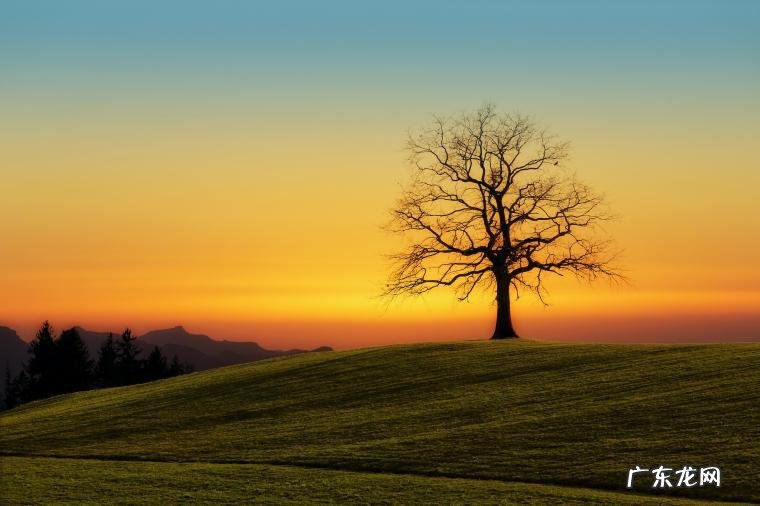 2015年到2021所有上映的电影？ 2015年中国电影排行榜大全