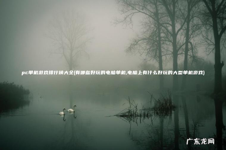 pc单机游戏排行榜大全(有哪些好玩的电脑单机,电脑上有什么好玩的大型单机游戏) 有哪些好玩的电脑单机,电脑上有什么好玩的大型单机游戏 pc单机游戏排行榜大全